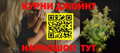 гашик Аргун