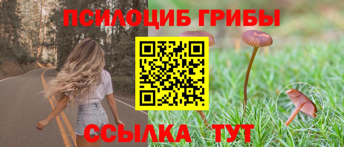 Псилоцибиновые грибы прущие грибы  цены наркотик  Вход с VPN  Балахна  Галлюциногенные грибы Psilocybe 